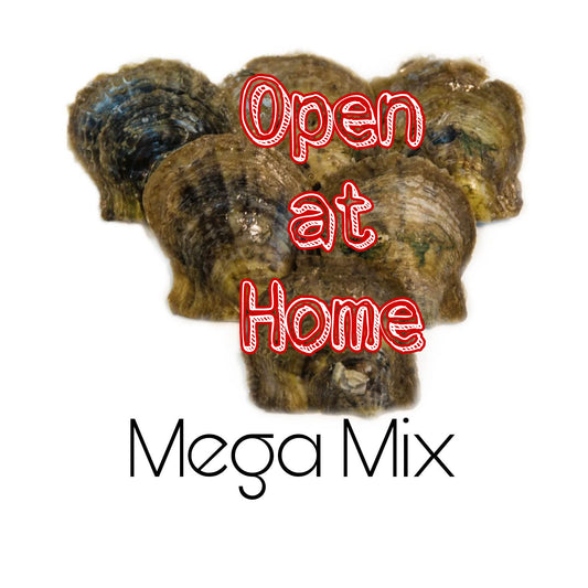 Open at Home Mega Mix Oyster Platter
