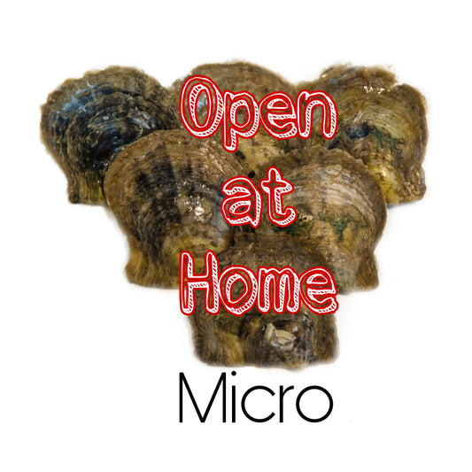 Open at Home Micro Oyster Platter