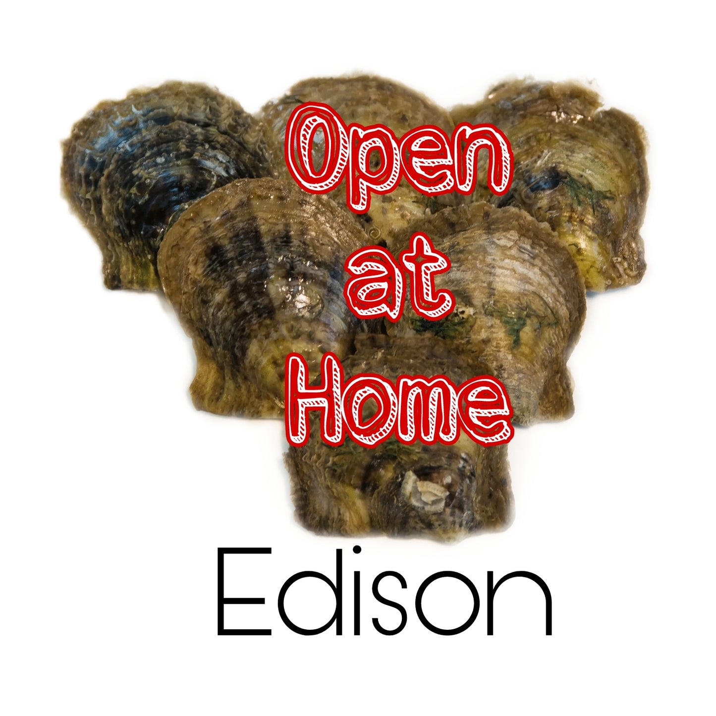 Open at Home Edison Oyster Platter