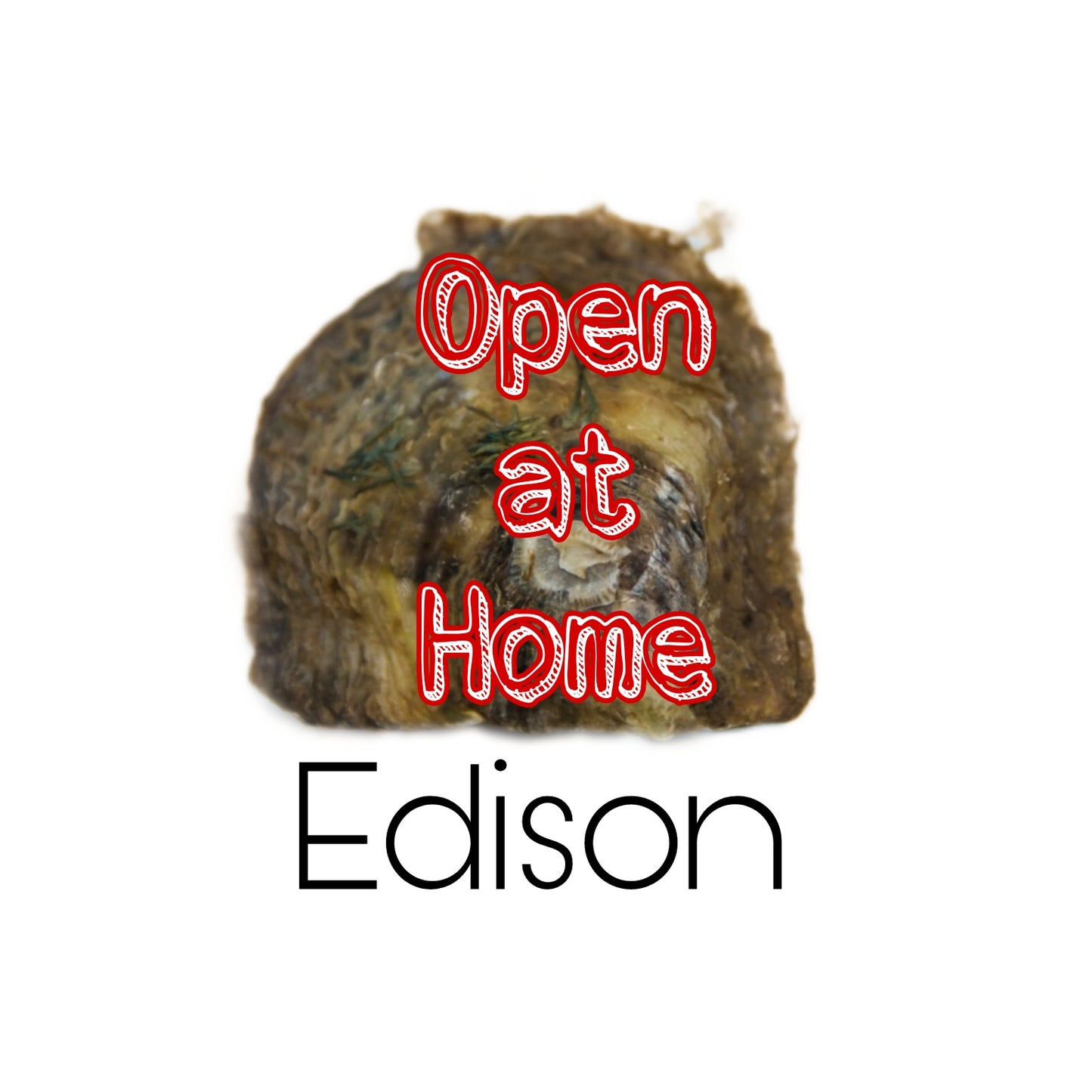 Open at Home Edison Oyster