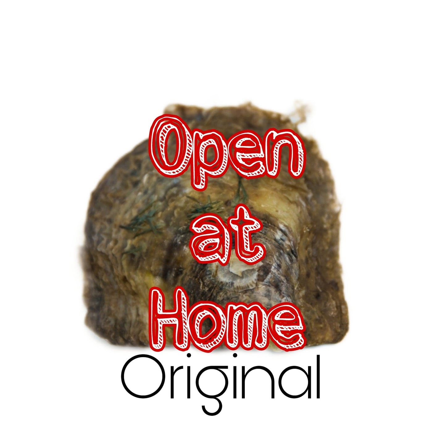 Open at Home Original Oyster