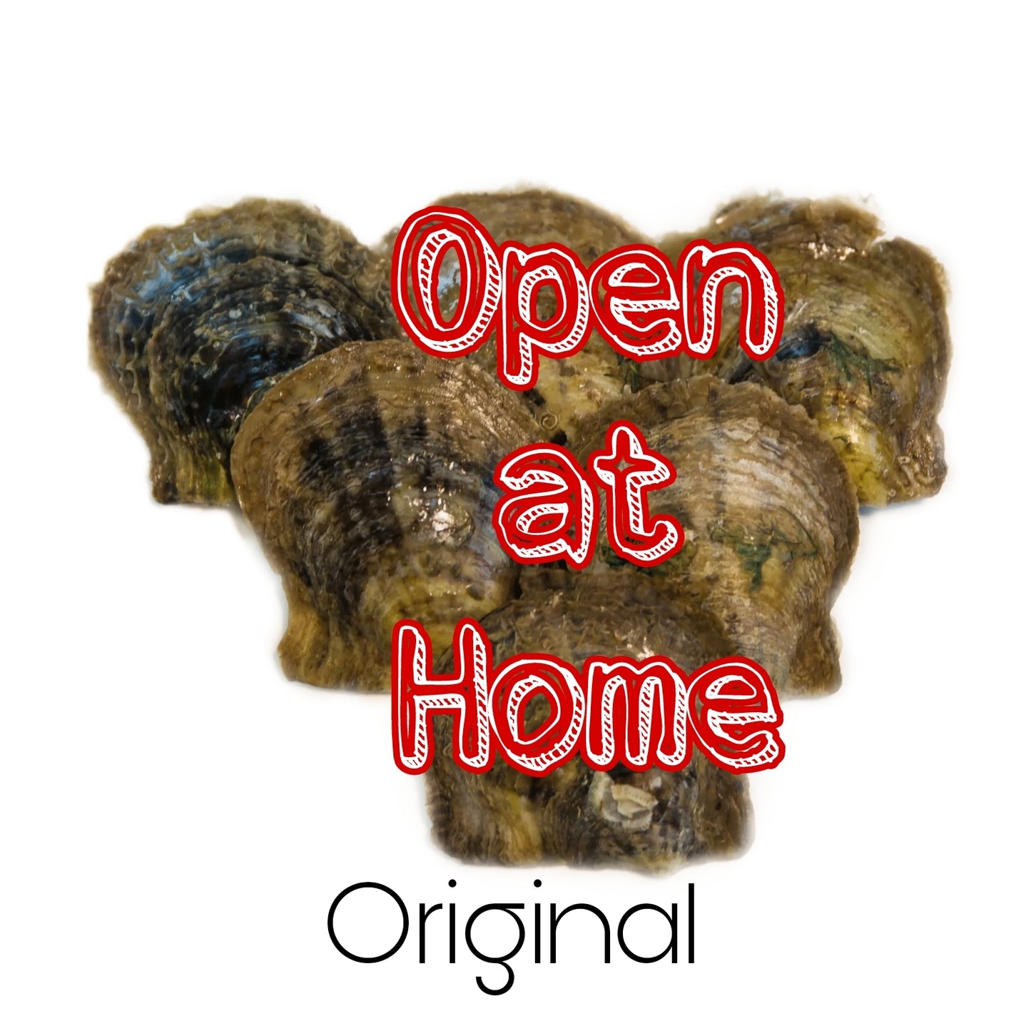 Open at Home Original Oyster Platter