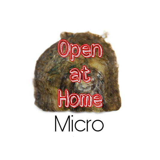 Open at Home Micro Oyster